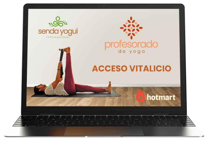 profesorado Yoga